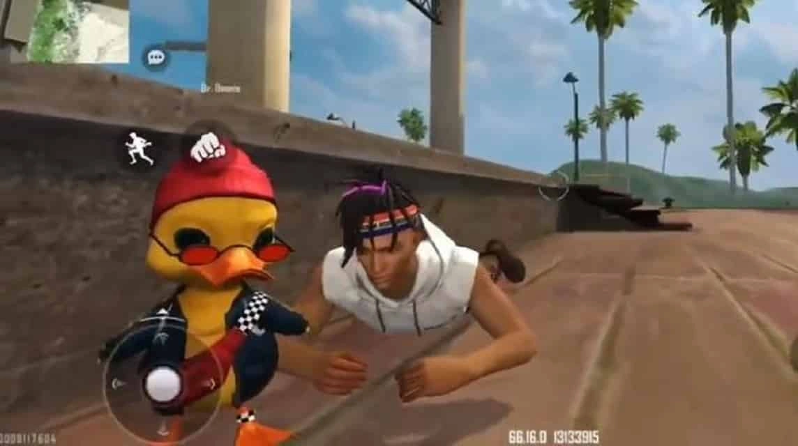 DR. Beanie FF