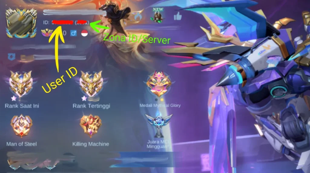 id ml